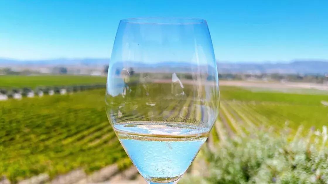 A glass of葡萄酒held up在velcamp vineyard.